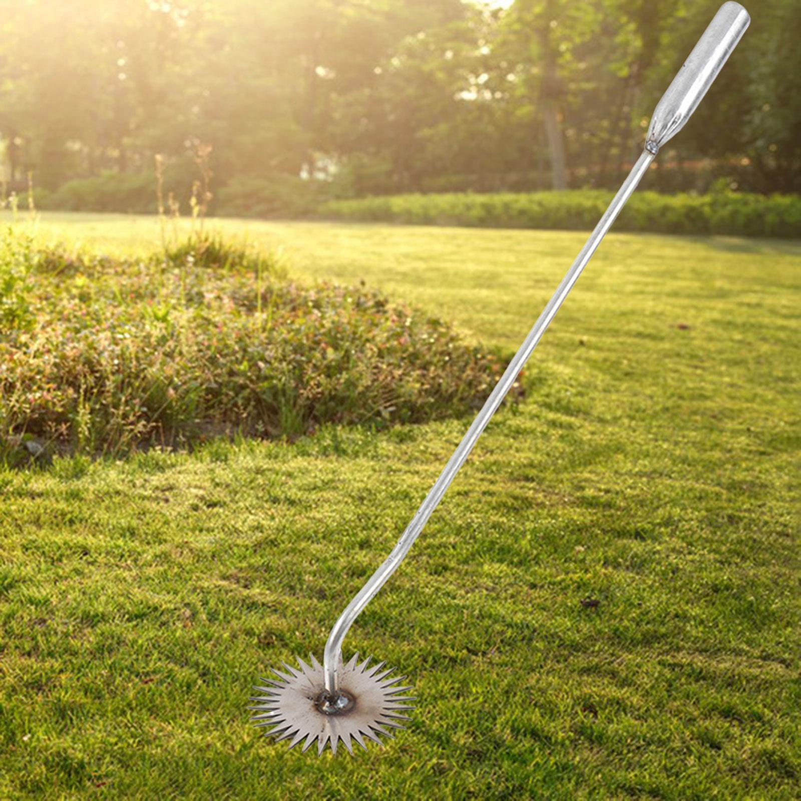 Bonsai Garden Backyard - Weeds Removal Tool Gardening Tool Grass