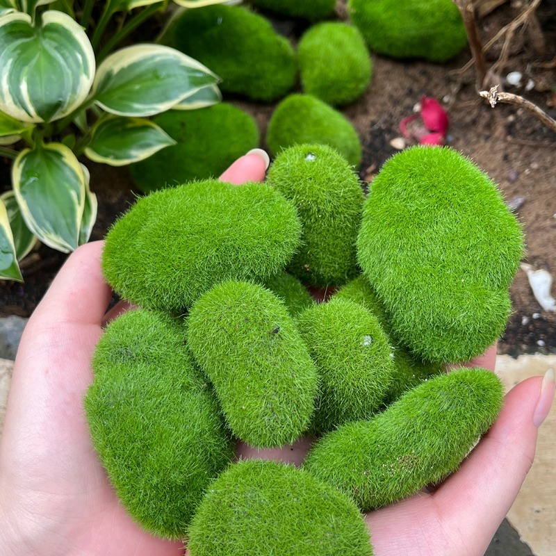 5/30pcs Simulation Moss Stone  - Bonsai Rock Garden review and price
