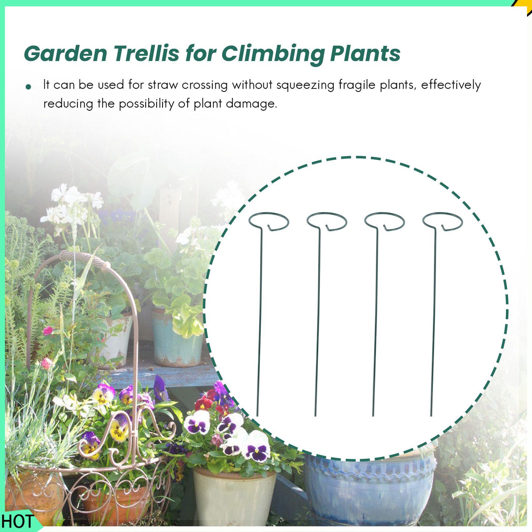 AWAH 8PCS Beautiful Plant Supp - Bonsai Garden Backyard review and price