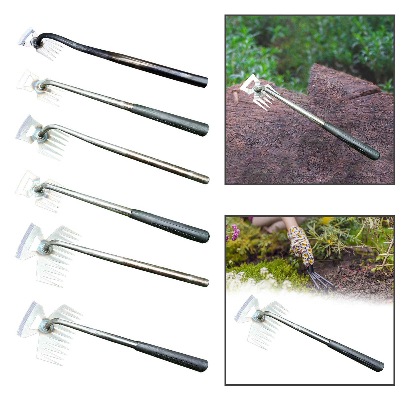 Multifunctional Weeder Plant R - Bonsai Garden Backyard review and price
