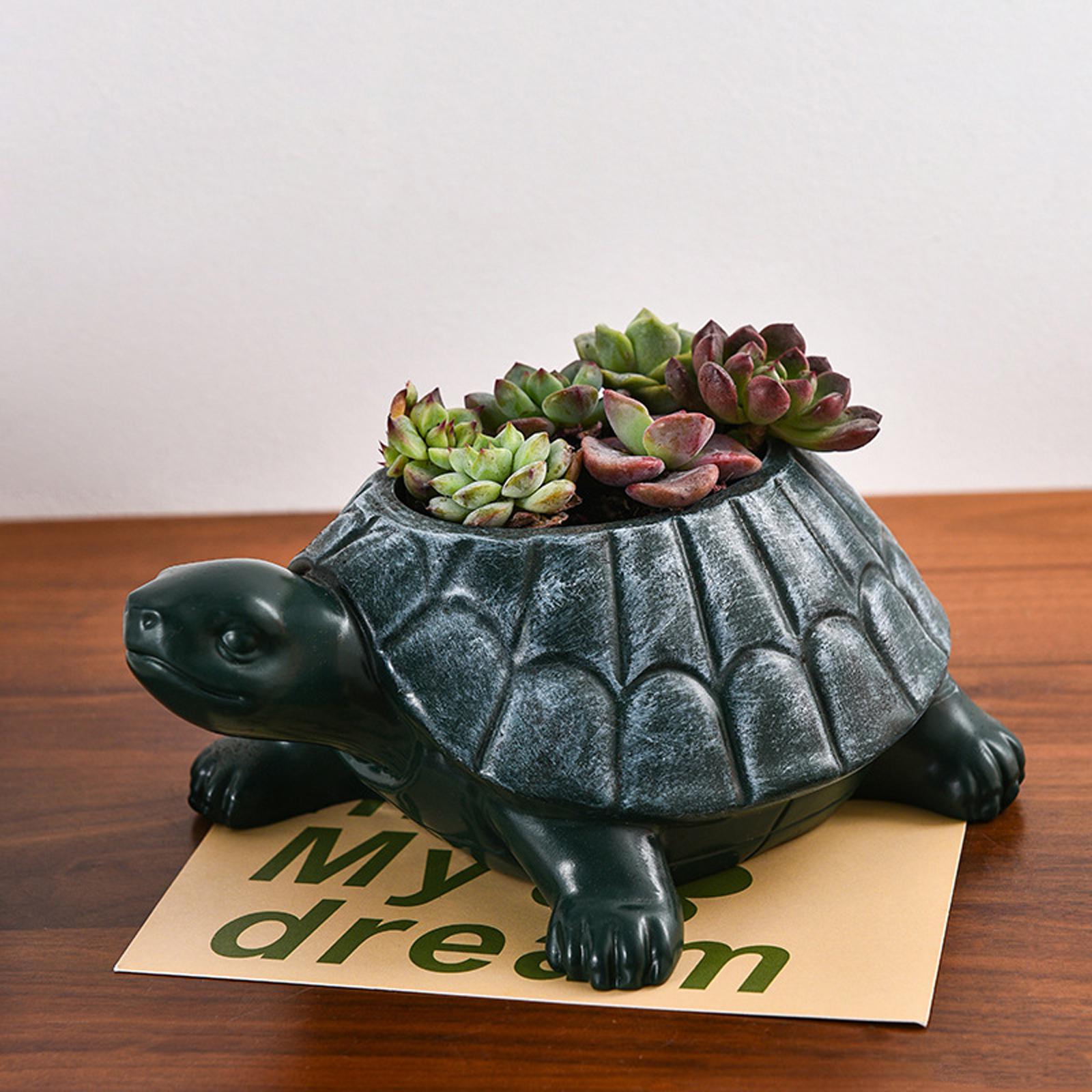 Turtle Planter Flower Pot Coll - Bonsai Garden And Cafe review and price
