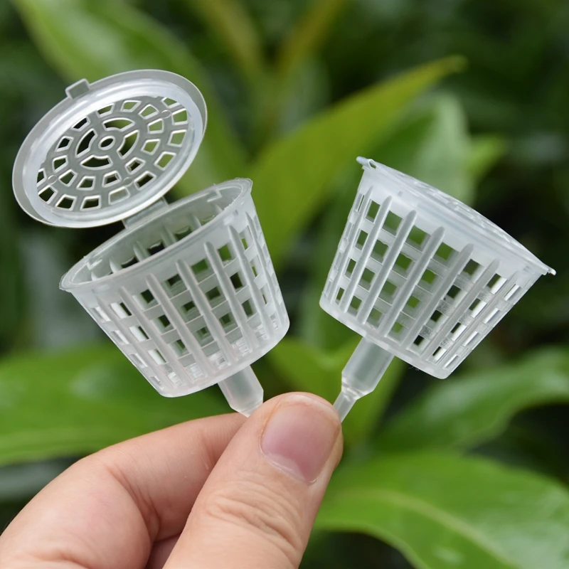 20/50Pcs Fertilizer Basket Wit - Bonsai Garden Of Ct review and price