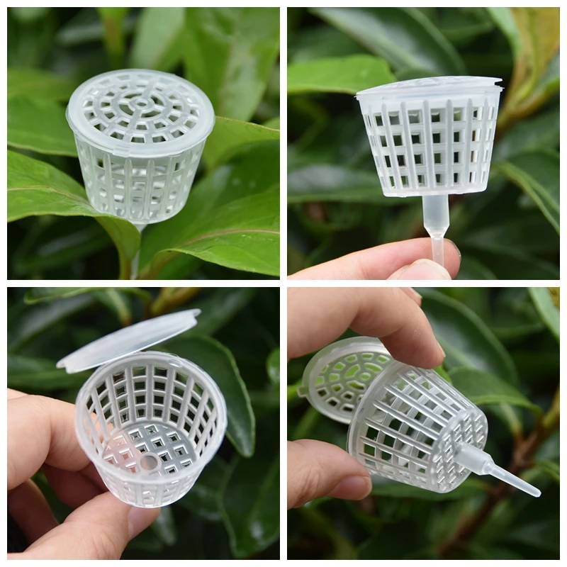 20/50Pcs Fertilizer Basket Wit - Bonsai Garden Of Ct review and price