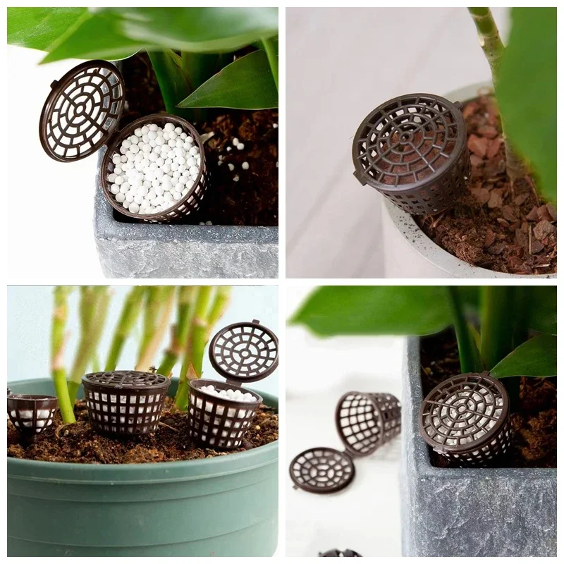 20/50Pcs Fertilizer Basket Wit - Bonsai Garden Of Ct review and price