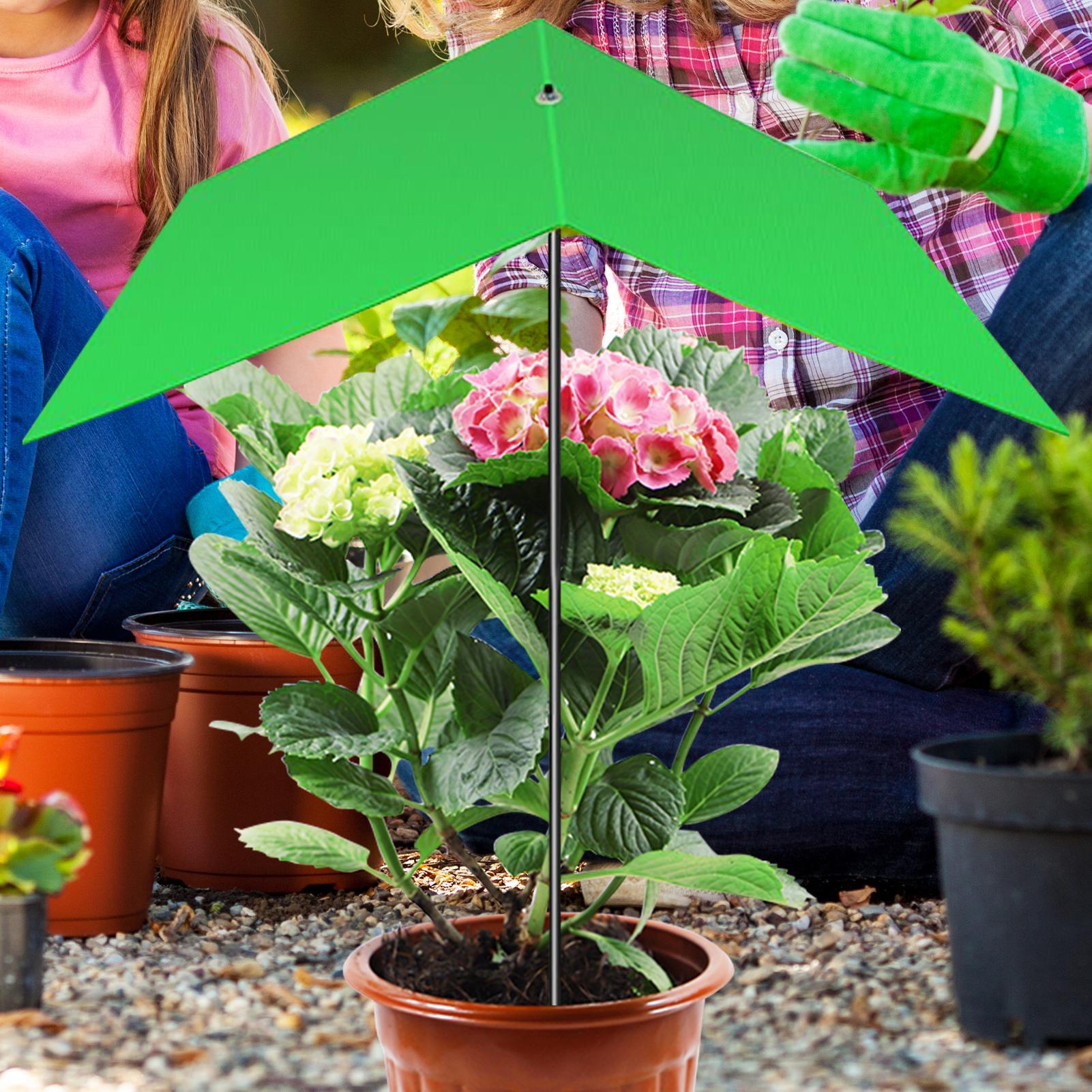 Plant Umbrella Anti-UV Heat Re - Bonsai Garden And Cafe review and price