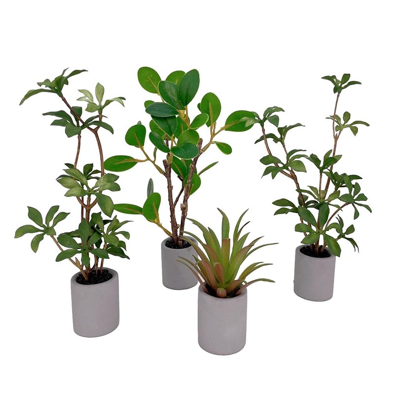 1:6 Dollhouse Miniature Potted - Bonsai Garden Europe review and price