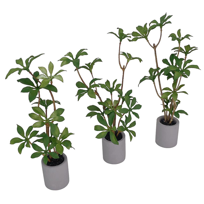 1:6 Dollhouse Miniature Potted - Bonsai Garden Europe review and price