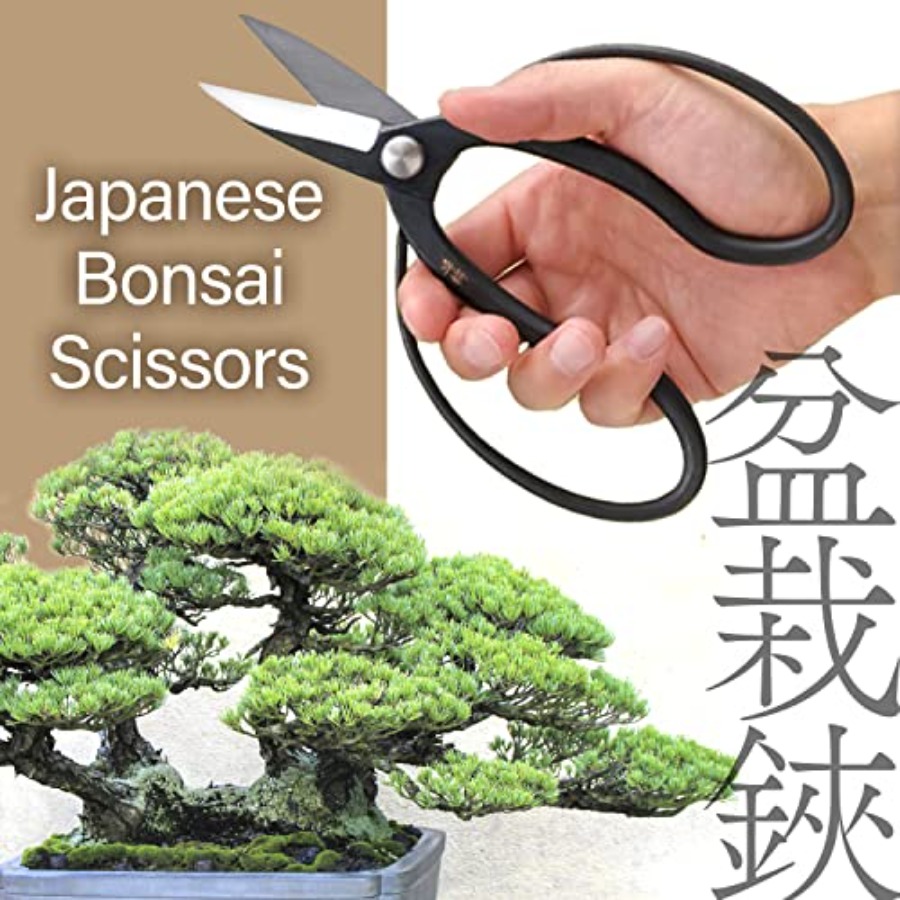 Japanese Suiryu Bonsai Scissor - Bonsai Garden Japan review and price