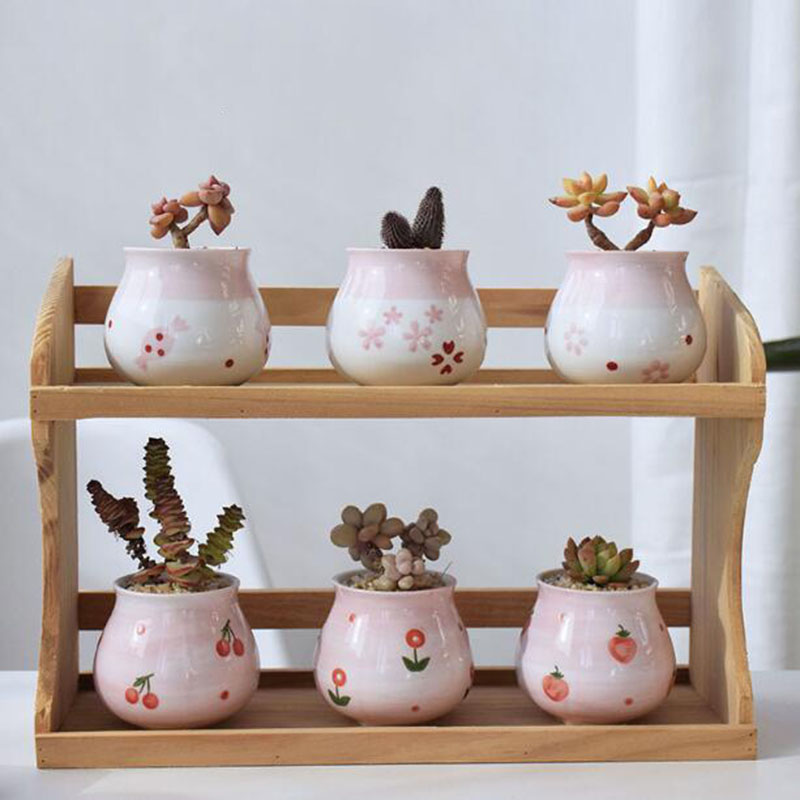 Cute Pink Girl Heart Series Fl - Bonsai Garden Europe review and price