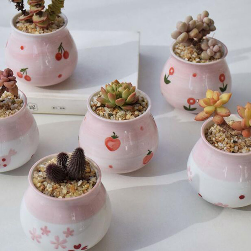 Cute Pink Girl Heart Series Fl - Bonsai Garden Europe review and price
