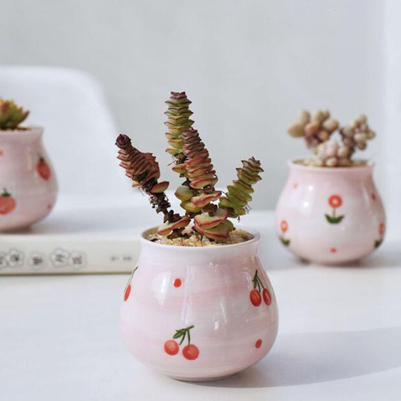 Cute Pink Girl Heart Series Fl - Bonsai Garden Europe review and price