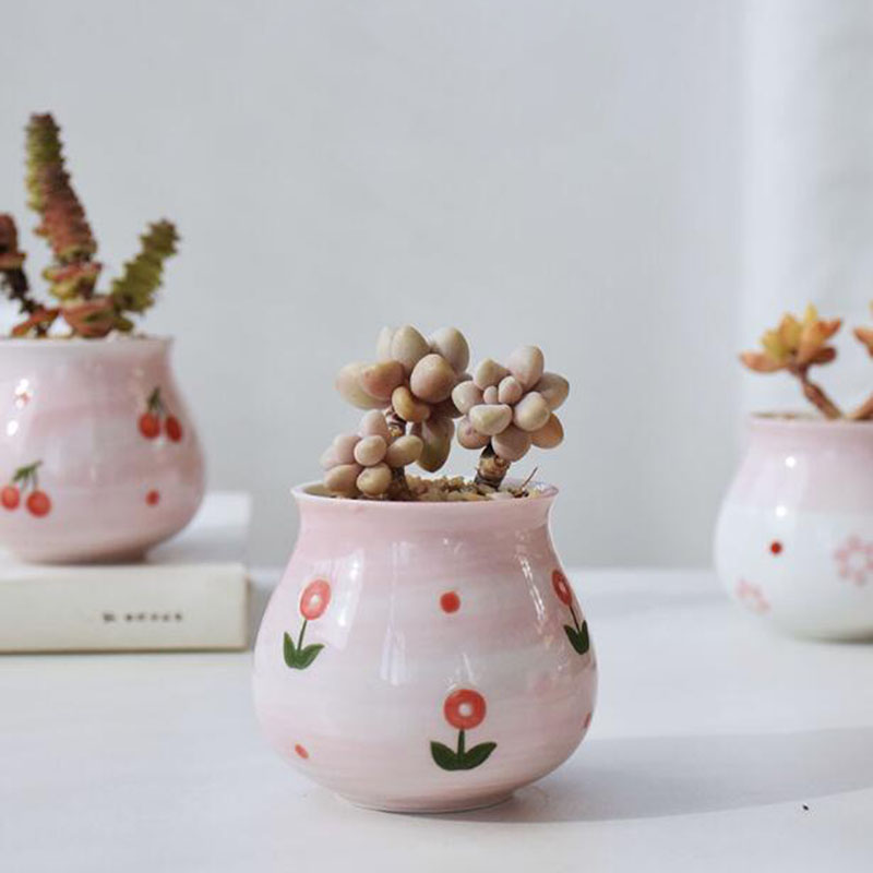 Cute Pink Girl Heart Series Fl - Bonsai Garden Europe review and price
