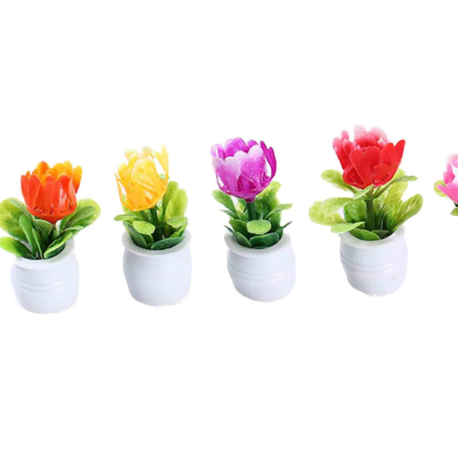 5Pcs 1:12 Dollhouse Miniature  - Bonsai Garden Europe review and price