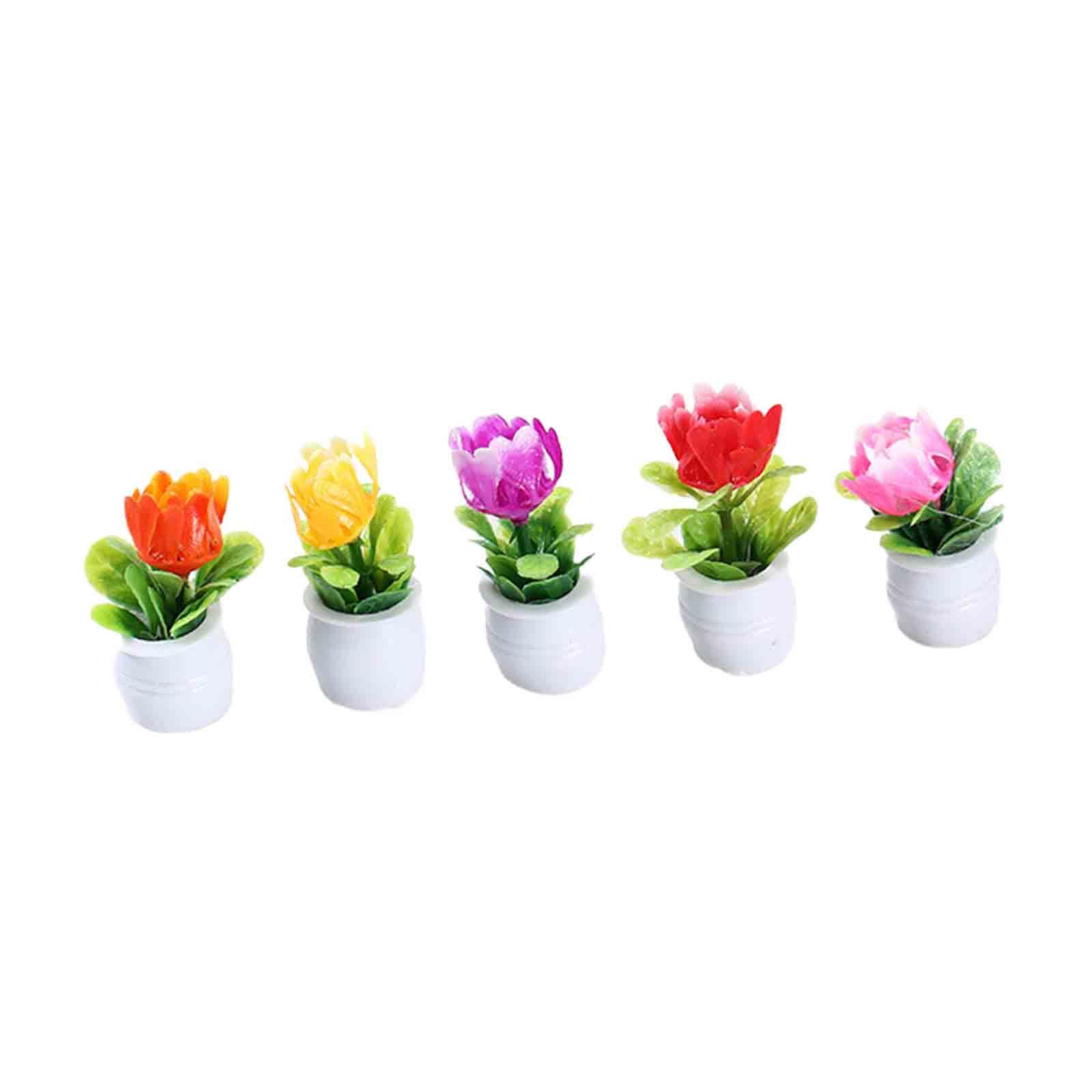 5Pcs 1:12 Dollhouse Miniature  - Bonsai Garden Europe review and price