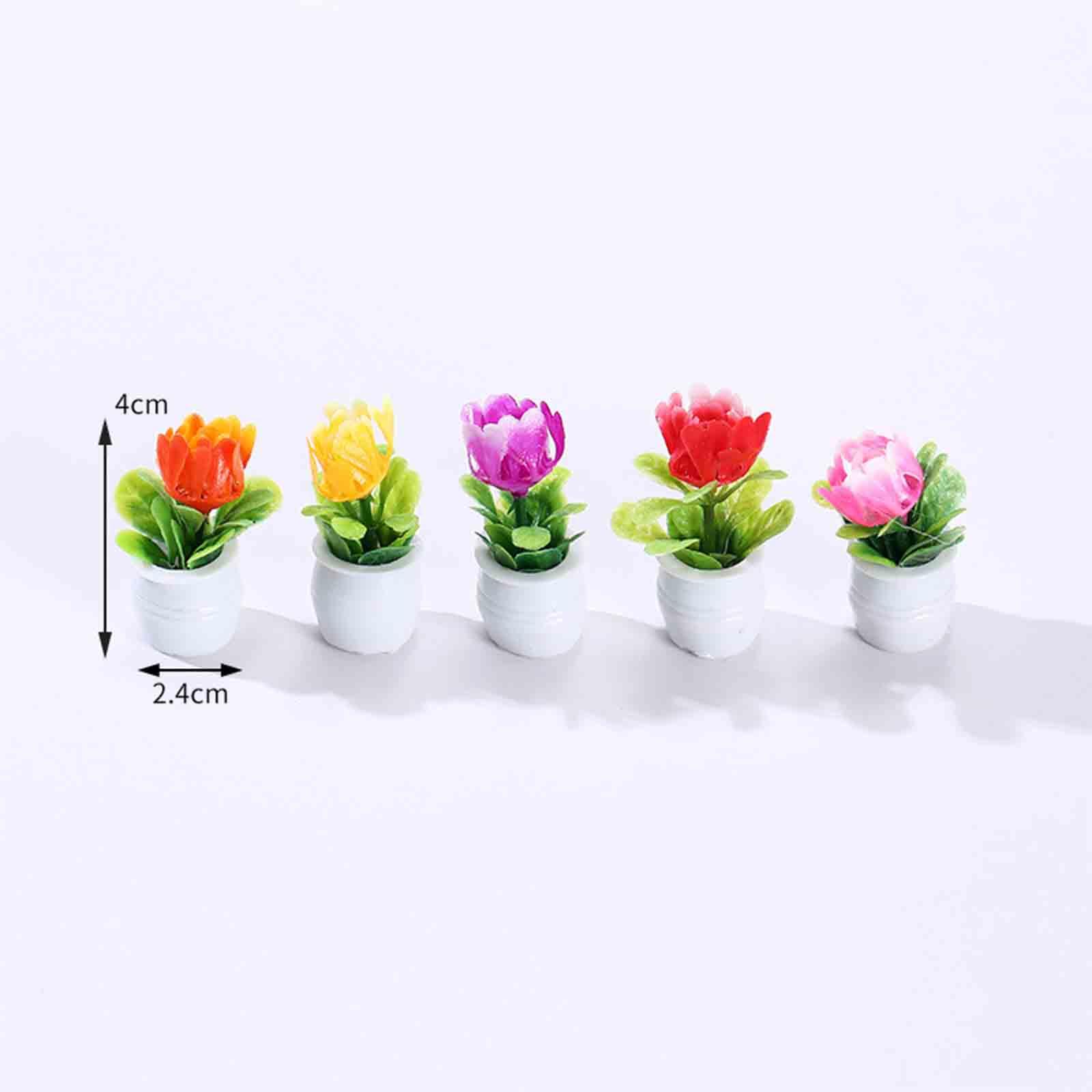 5Pcs 1:12 Dollhouse Miniature  - Bonsai Garden Europe review and price