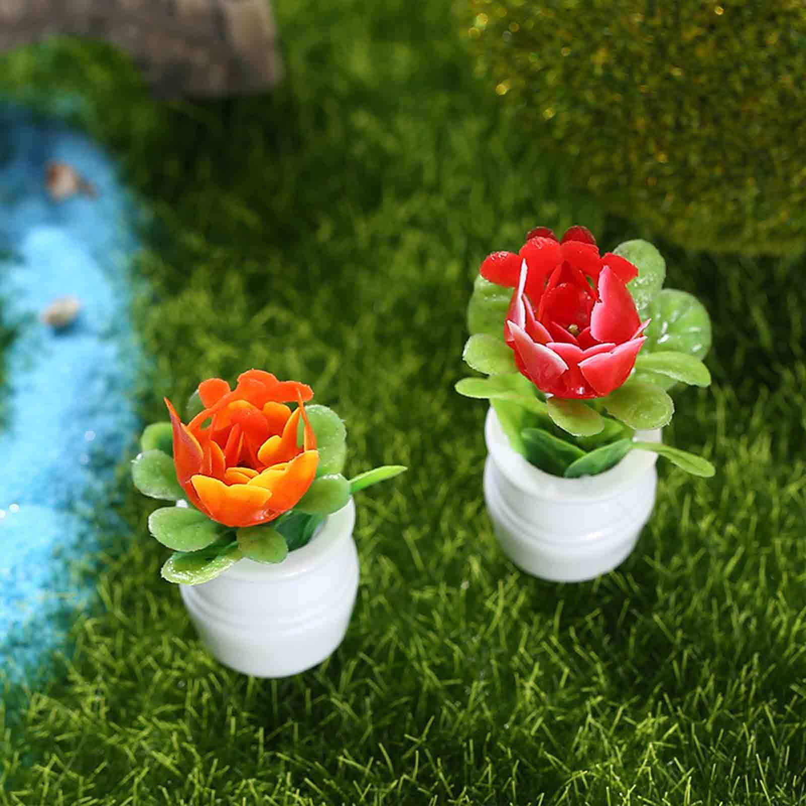 5Pcs 1:12 Dollhouse Miniature  - Bonsai Garden Europe review and price
