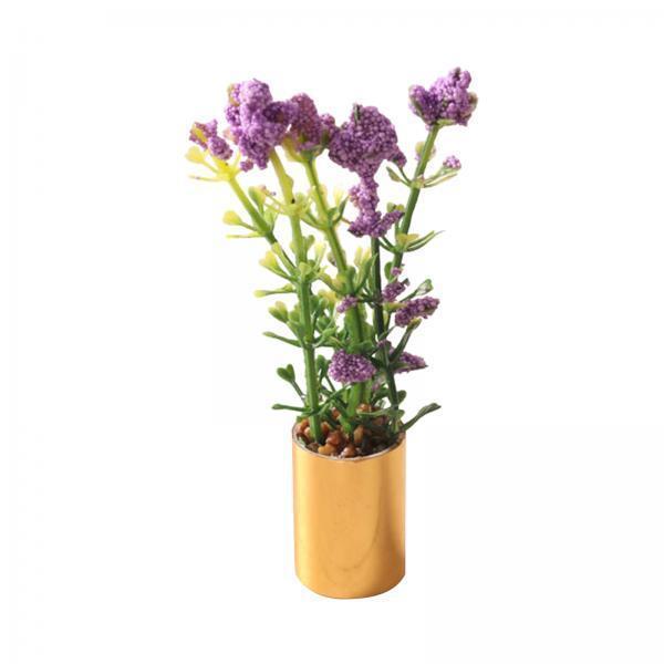 Miniature Potted Plant Ornamen - Bonsai Garden Europe review and price