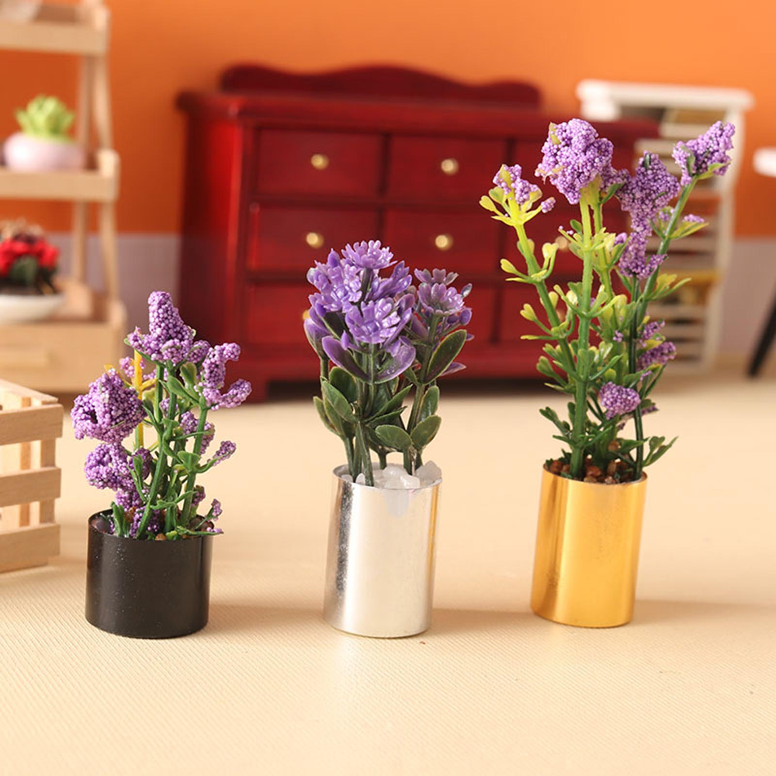 Miniature Potted Plant Ornamen - Bonsai Garden Europe review and price