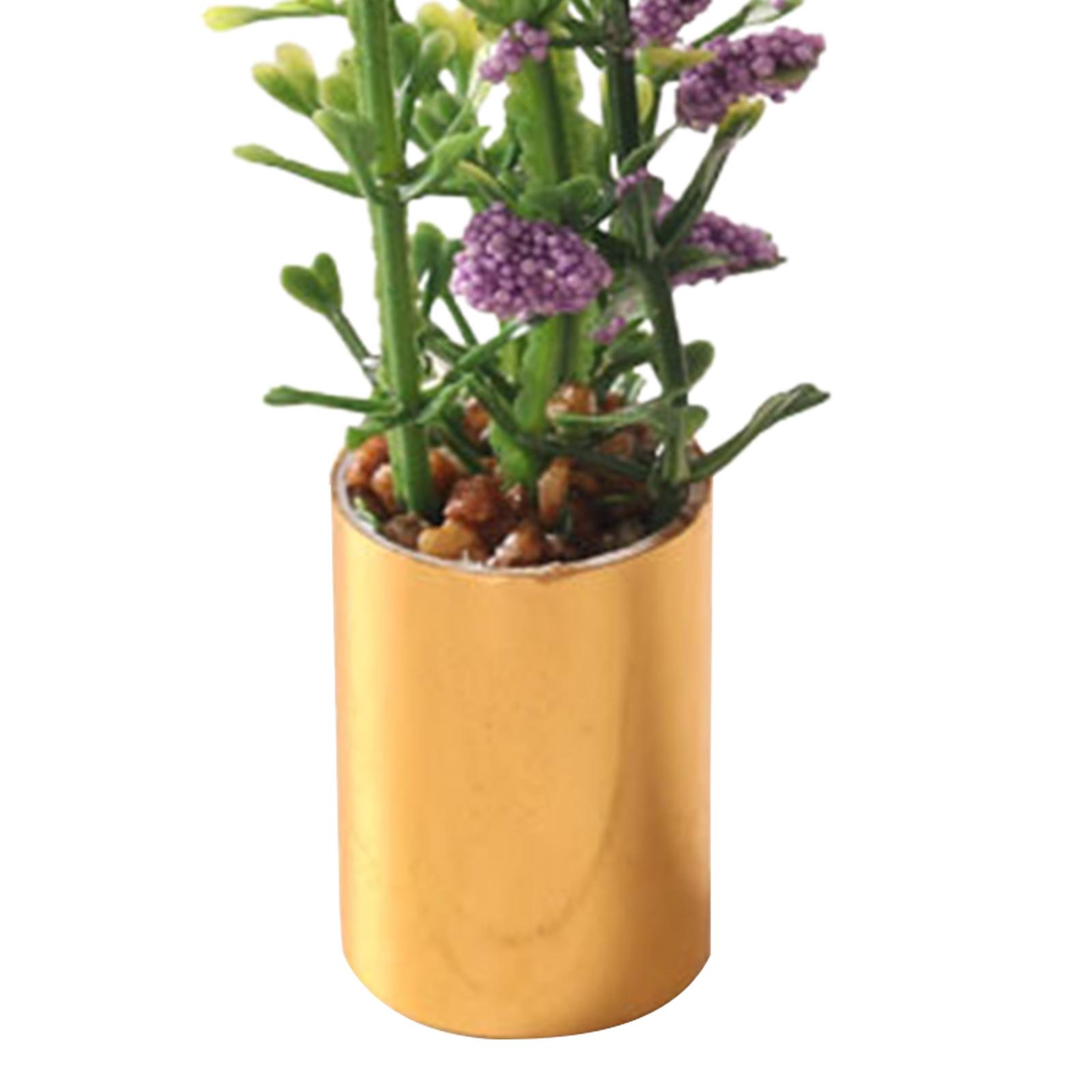 Miniature Potted Plant Ornamen - Bonsai Garden Europe review and price