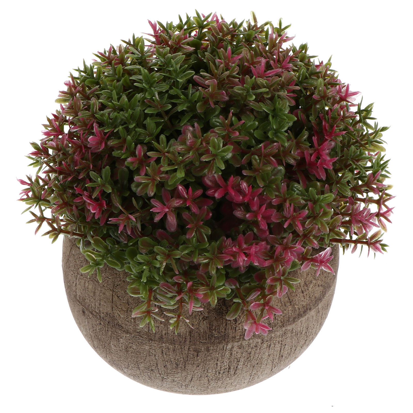 Mini Plastic Bonsai Realistic  - Bonsai Garden And Cafe review and price