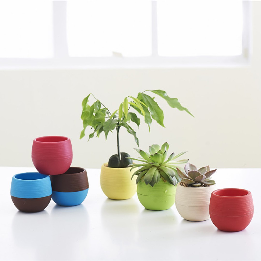 Gardening Mini Plastic Flower  - Bonsai Garden Europe review and price