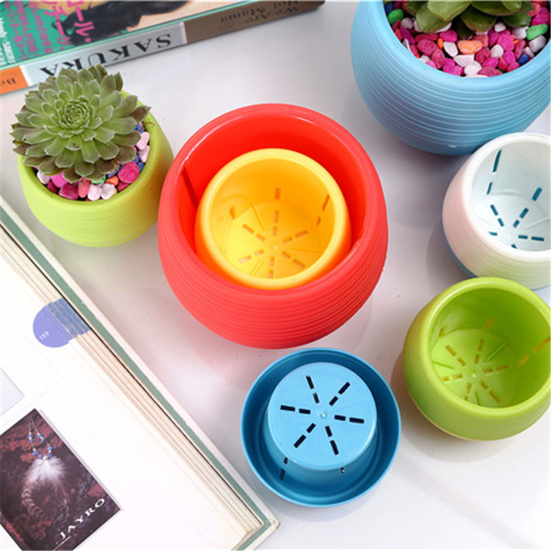 Gardening Mini Plastic Flower  - Bonsai Garden Europe review and price