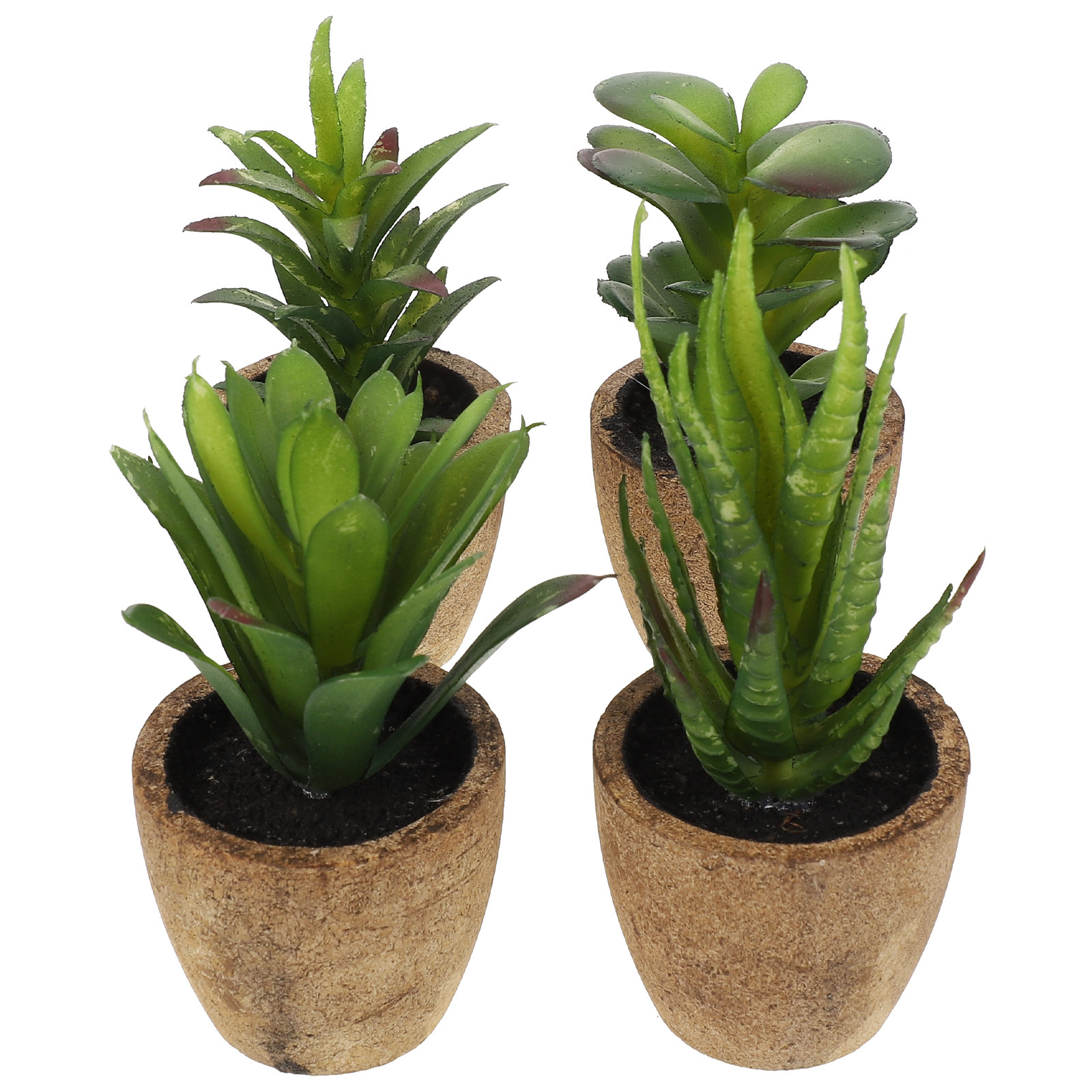 4Pcs Simulation Succulent Bons - Bonsai Garden And Cafe review and price
