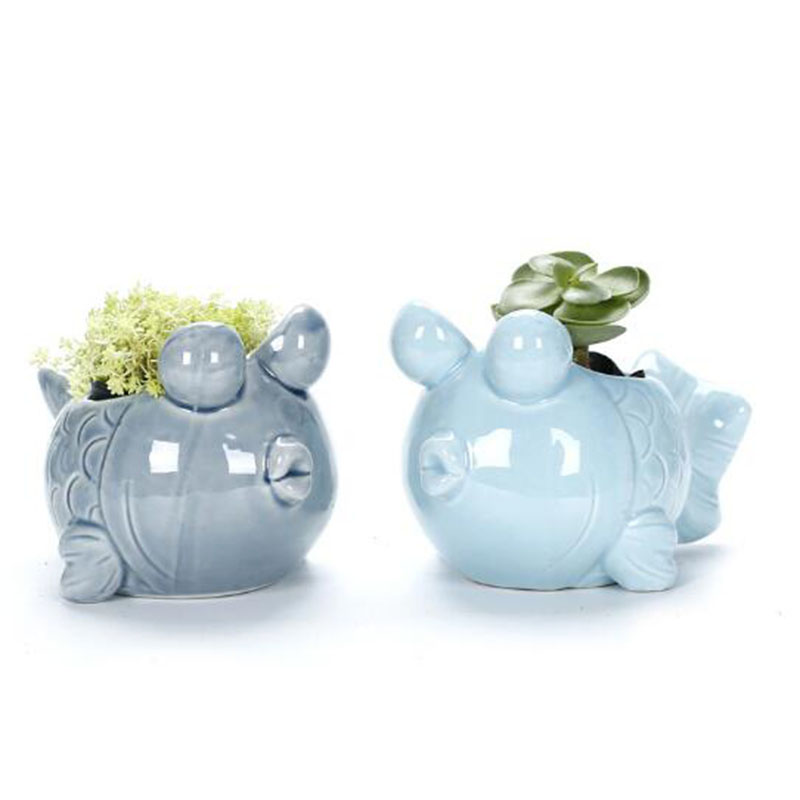 European Style Cute Fleshy Flo - Bonsai Garden Europe review and price