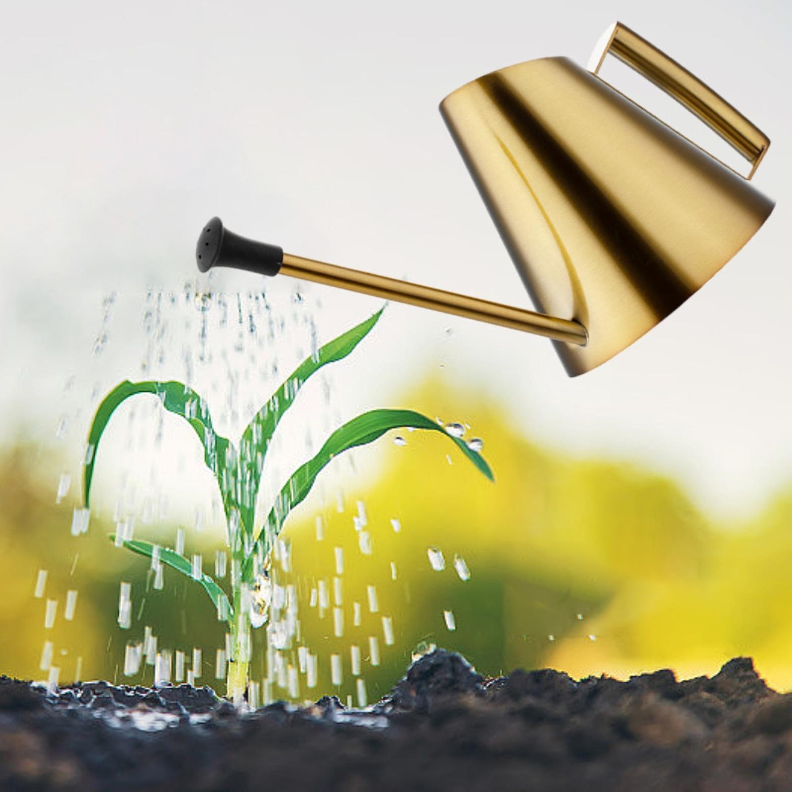 900ml Watering Can Sprinkler H - Bonsai Garden Backyard review and price