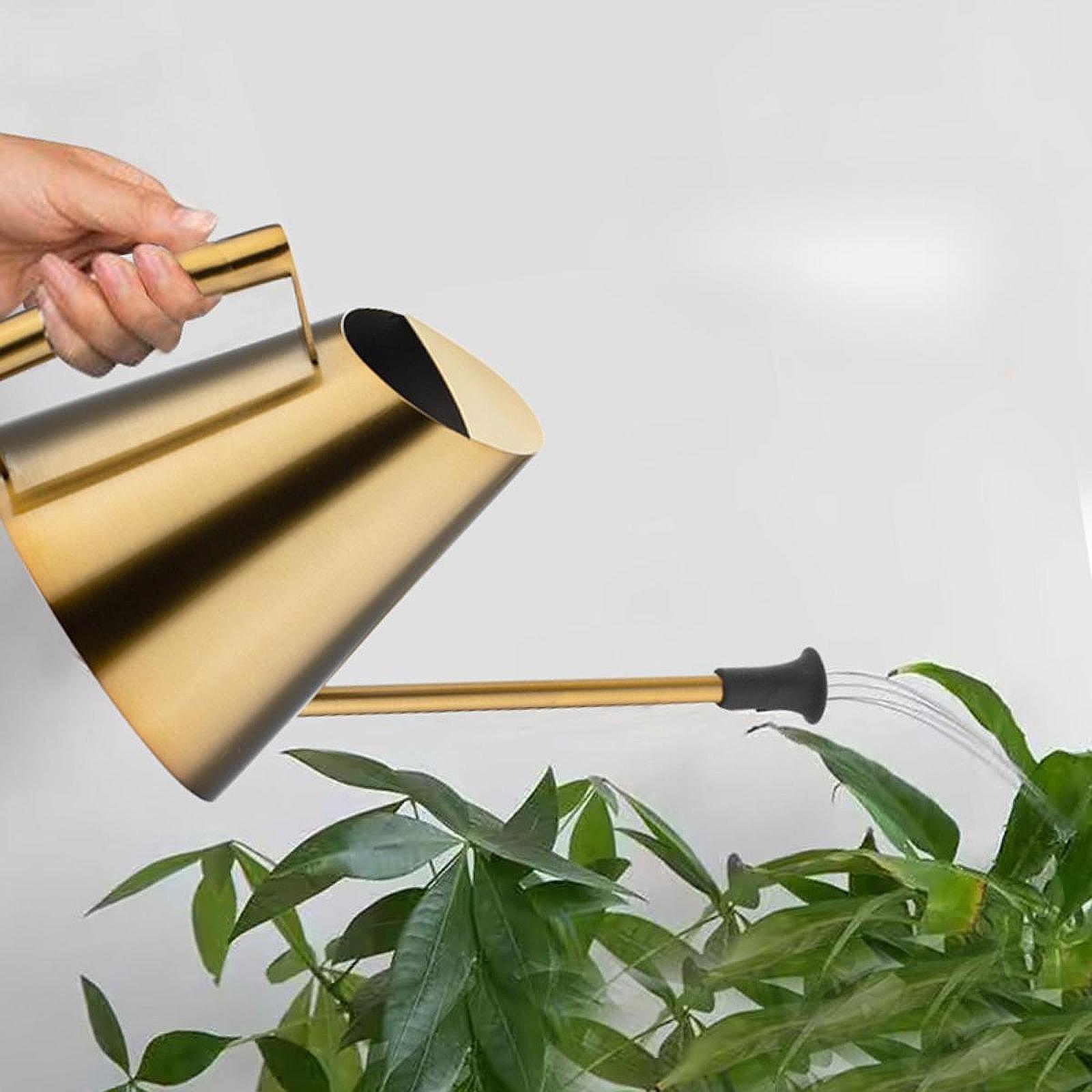 900ml Watering Can Sprinkler H - Bonsai Garden Backyard review and price