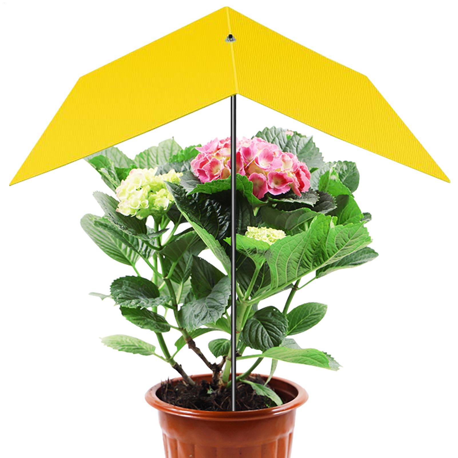 Umbrellas For Outdoor Plants U - Bonsai Garden Backyard review and price