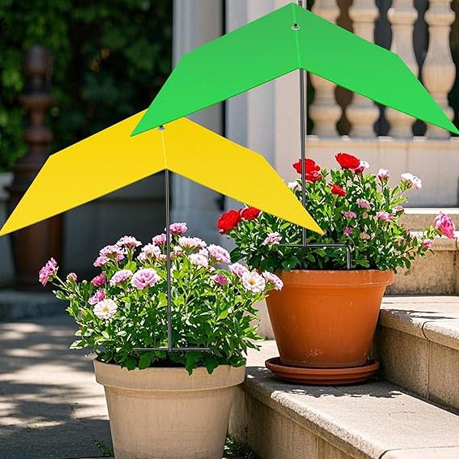 Umbrellas For Outdoor Plants U - Bonsai Garden Backyard review and price
