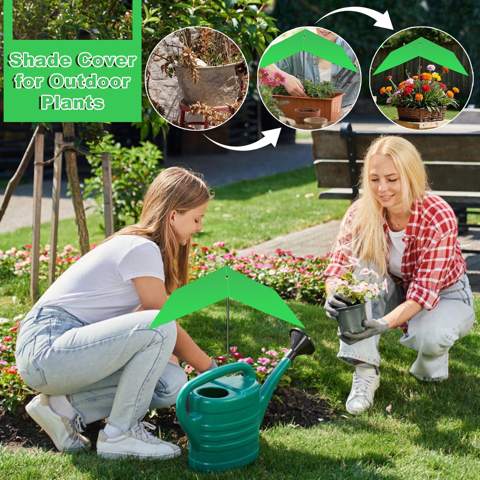 Umbrellas For Outdoor Plants U - Bonsai Garden Backyard review and price